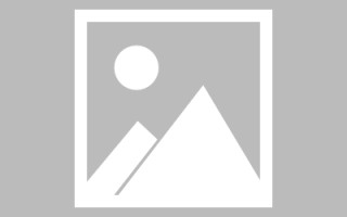 枝江网页设计展示ppt下载（网页设计ppt汇报）